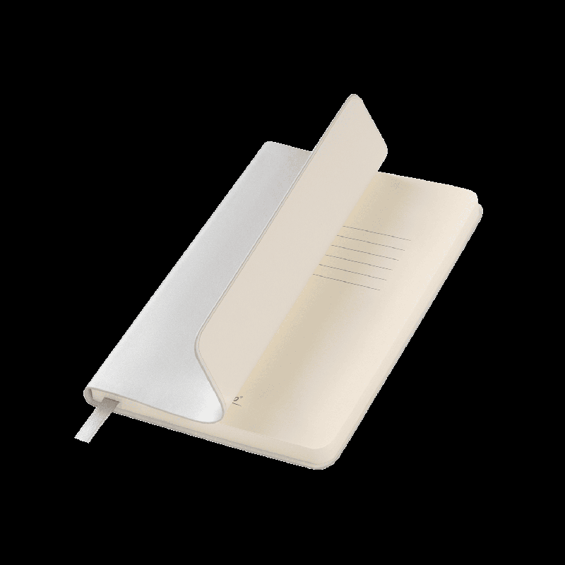 Ежедневник Spark mini A6 недатированный