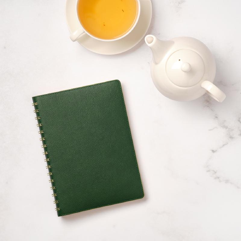 Ежедневник Vista недатированный, 