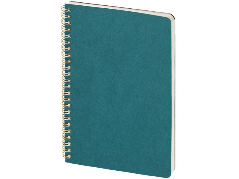 Бизнес тетрадь А5 Pragmatic