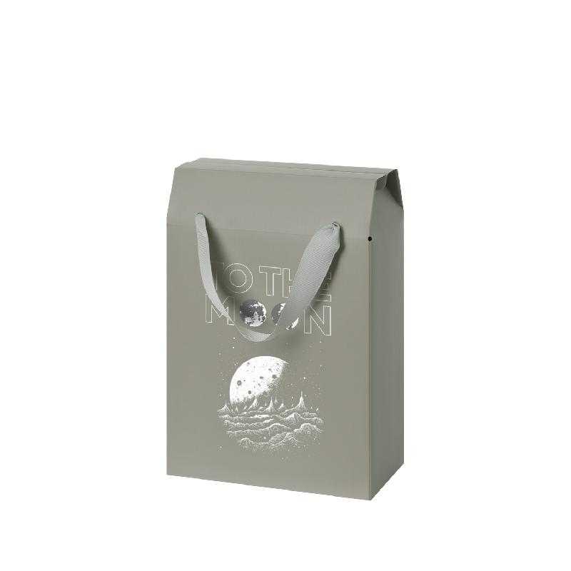 Подарочная коробка-пакет универсальная малая