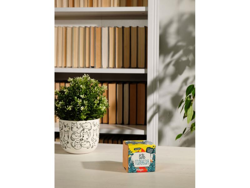 Набор для выращивания Ель Голубая