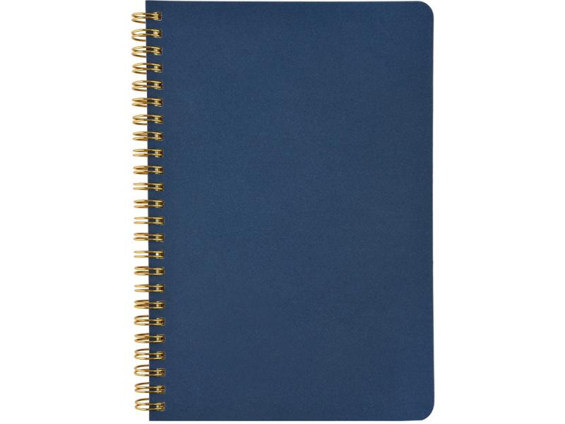 Бизнес тетрадь А5 Pragmatic