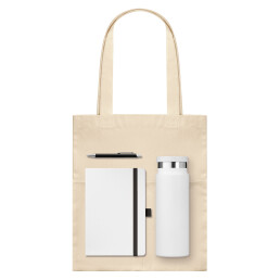 Подарочный набор Arctic,  (ежедневник, ручка, термобутылка, шоппер)