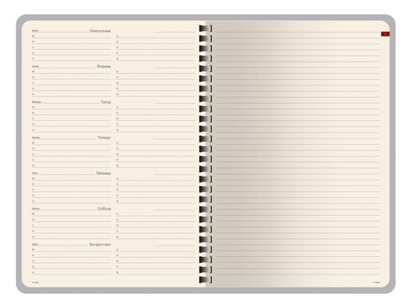 Еженедельник недатированный А5 Concept