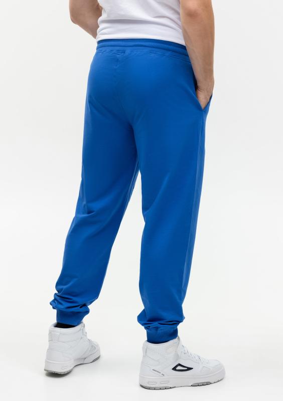 Брюки мужские STAN футер без начёса