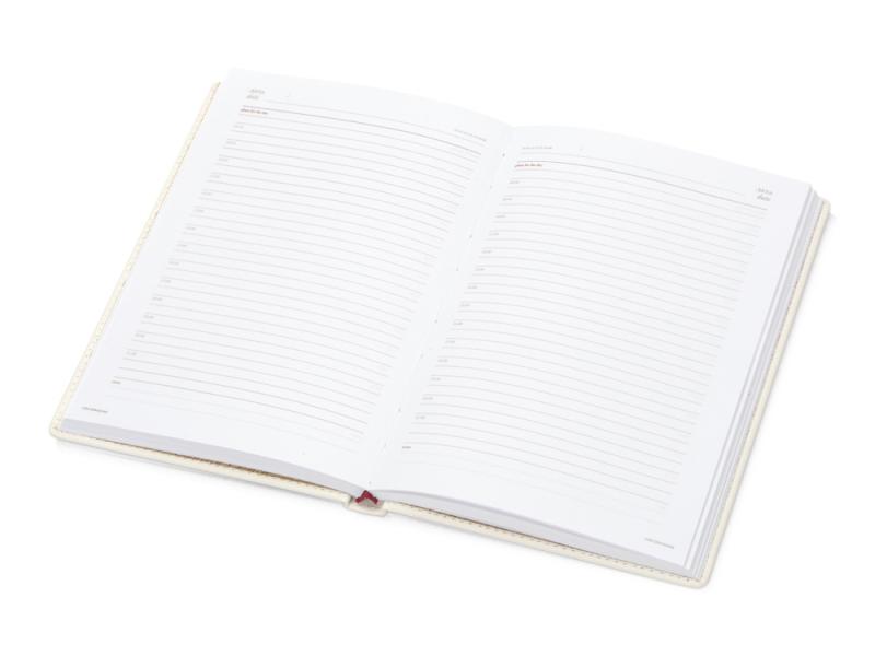 Ежедневник недатированный А5 Velvet