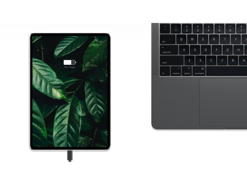 Сетевое зарядное устройство NEO Z Type-C 60