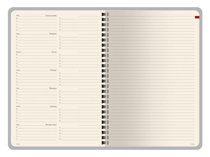 Еженедельник недатированный А5 Concept