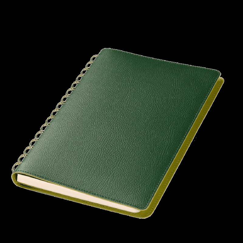 Ежедневник Vista недатированный, 