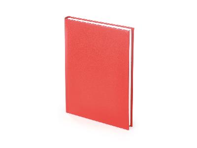 Ежедневник недатированный А5 Ideal New