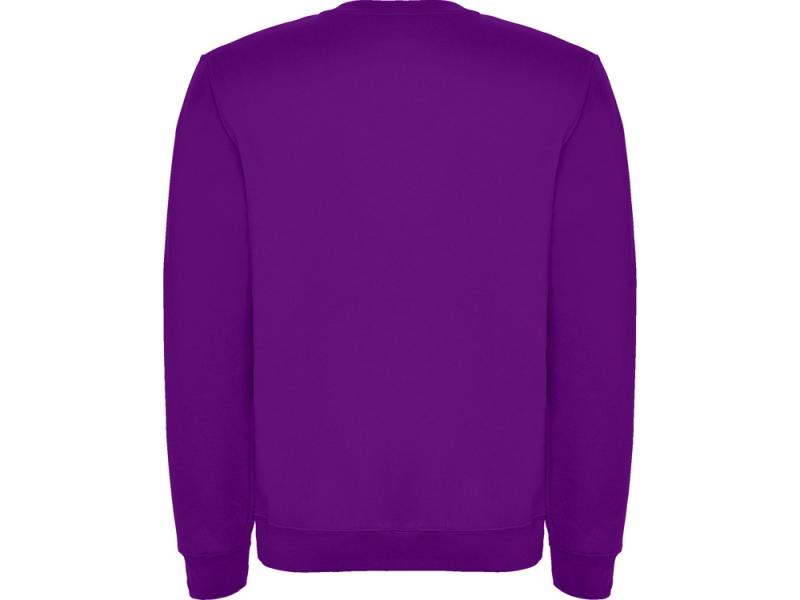 Свитшот с начесом Clasica детский