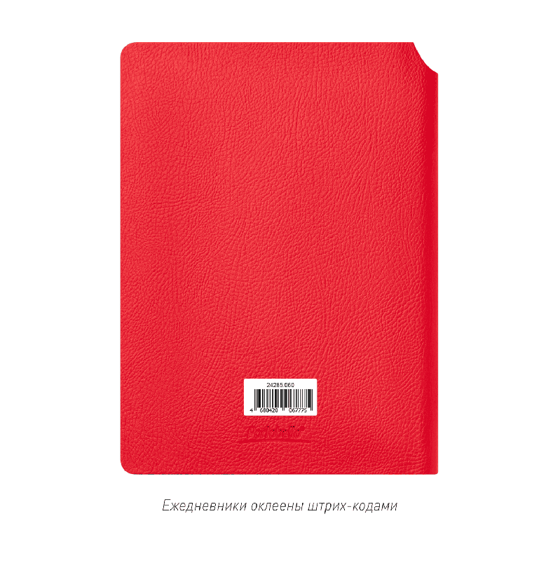 Ежедневник Molto недатированный