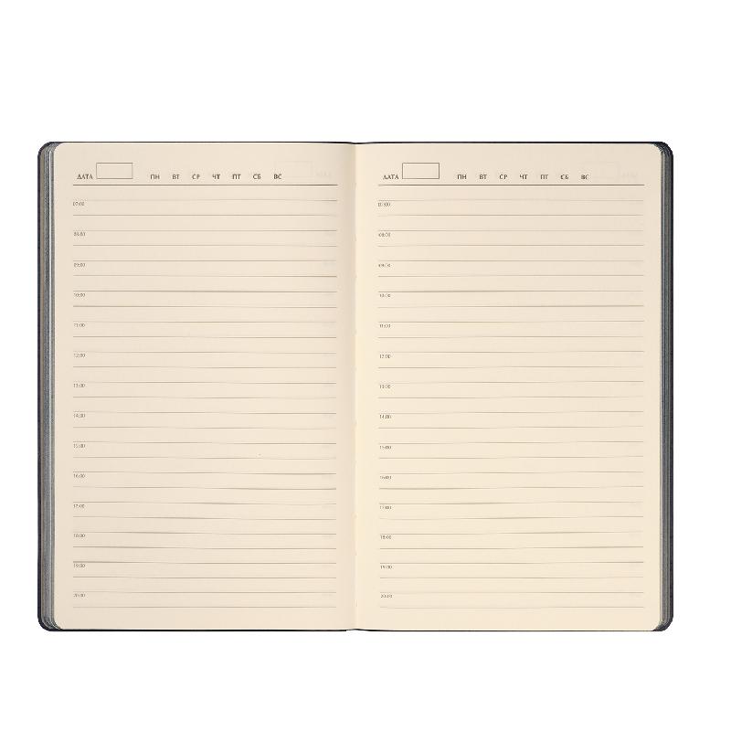 Ежедневник Рейн (Rain) недатированный,  (без упаковки, без стикера)