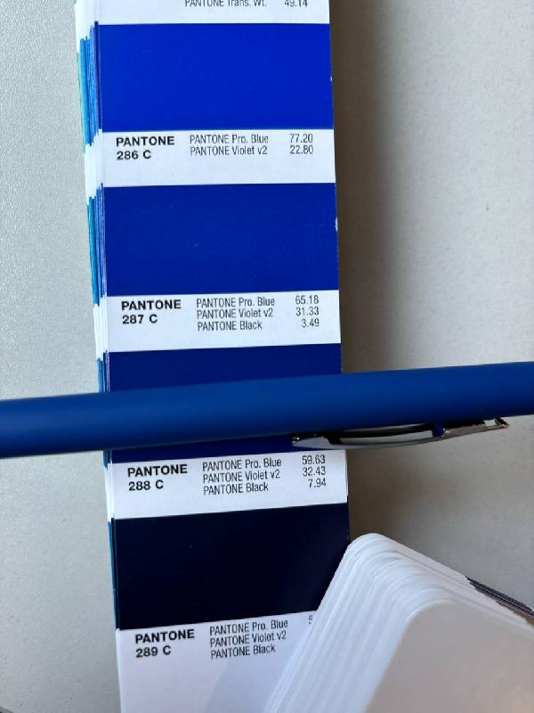 Ручка шариковая Flamingo пластиковая