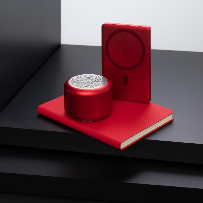 Беспроводная колонка Пассион (Passion) 80dB 600 mAh (Bluetooth 5.0)