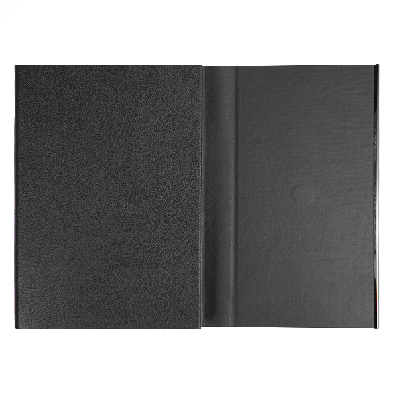 Ежедневник Alfa Bird Petrus Print Sample  Роскосмос  A5, недатированный, в твердой обложке еталлическим элементом