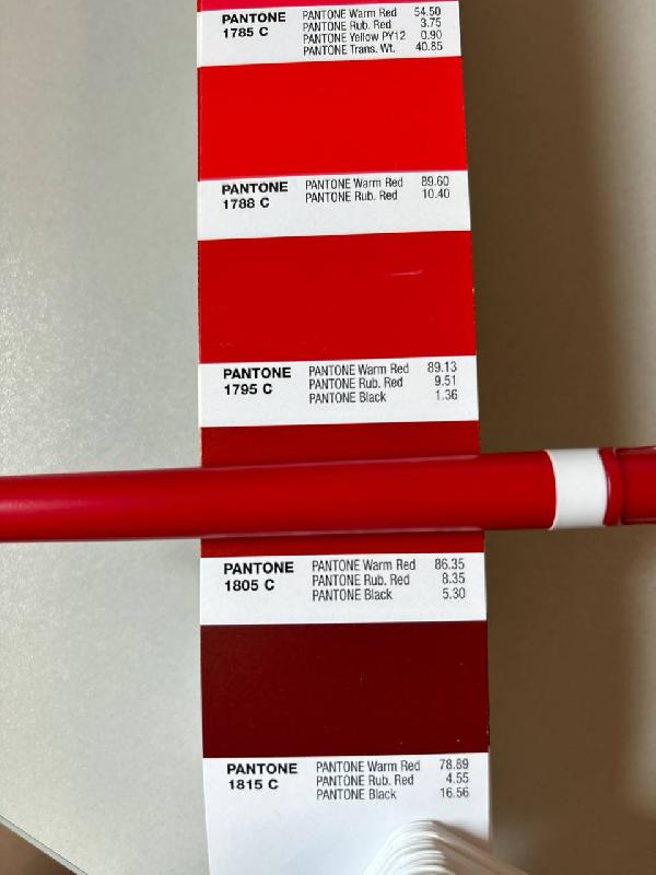 Ручка шариковая пластиковая Ravena Color