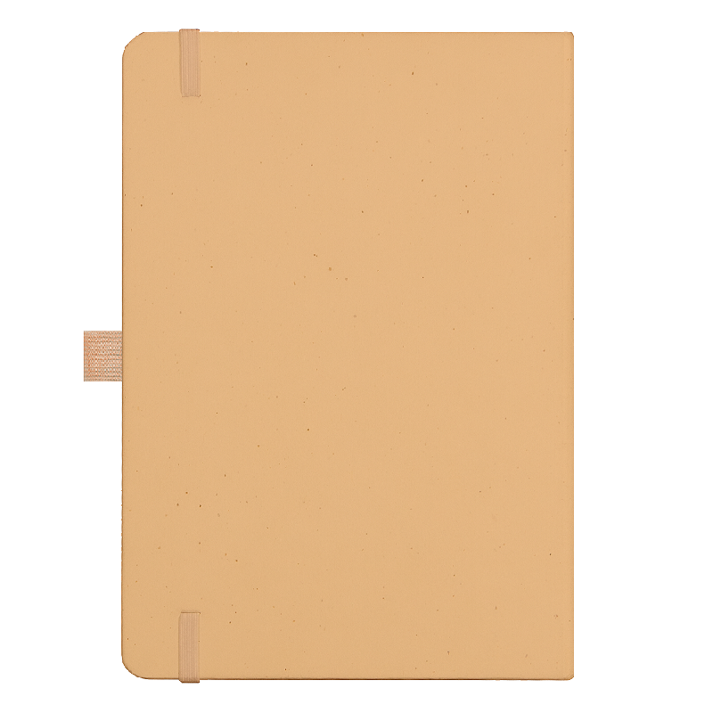 Блокнот Forest  Alfa Polo Recycled Paper А5, недатированный, в твердой обложке, с резинкой и петлей для ручки,  натуральный (крафтовый)