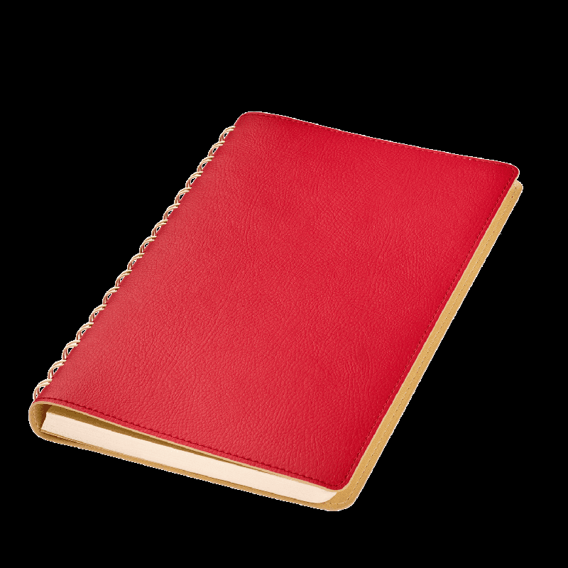 Ежедневник Виста (Vista) недатированный, 