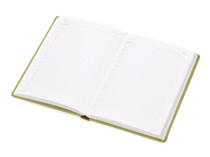 Ежедневник недатированный А5 Velvet