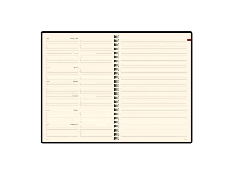 Еженедельник недатированный А5 Concept