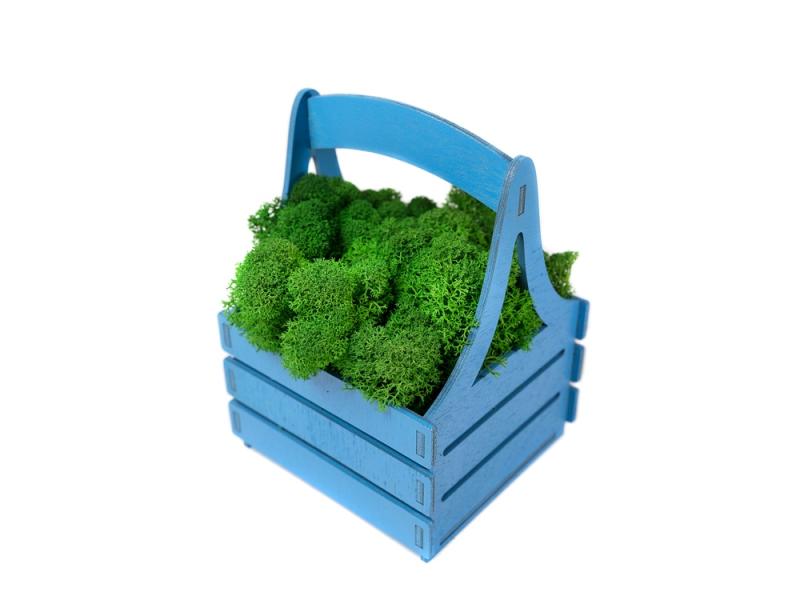 Композиция Корзинка со мхом