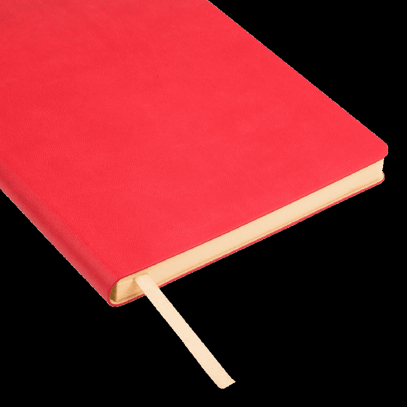 Ежедневник Latte NEW недатированный,  (без упаковки, без стикера)