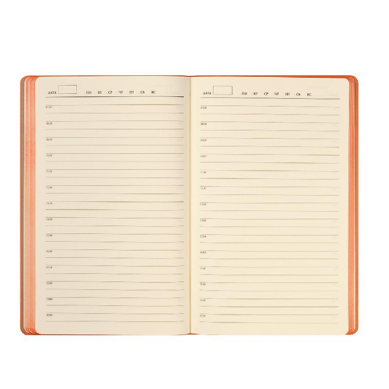 Ежедневник Рейн (Rain) недатированный,  (без упаковки, без стикера)