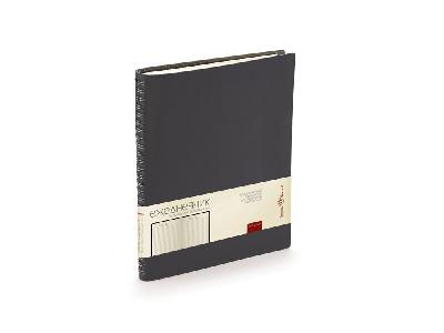 Ежедневник недатированный B5 Tintoretto New