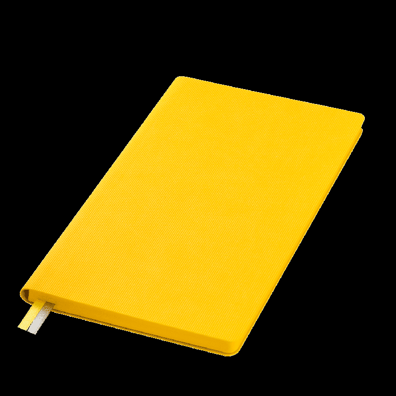 Ежедневник Рейн (Rain) недатированный,  (без упаковки, без стикера)