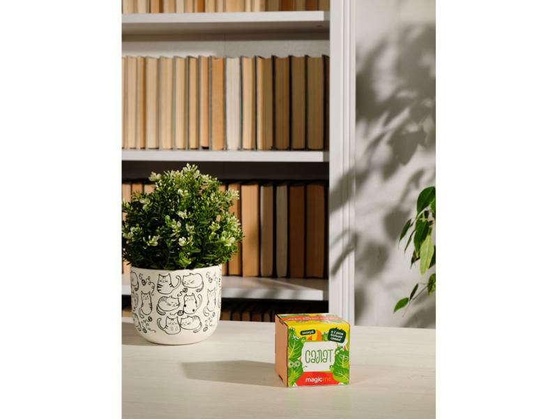 Набор для выращивания Салат