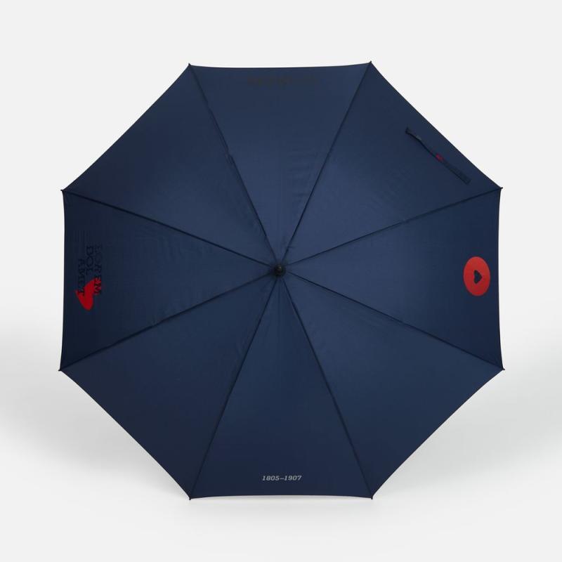 Зонт-трость Rainzee