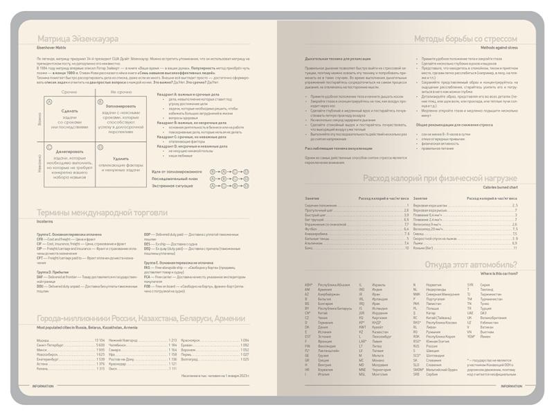 Ежедневник А5 датированный Megapolis Color на 2026 год