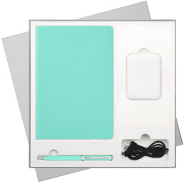 Подарочный набор Spark,  (ежедневник, ручка, аккумулятор)