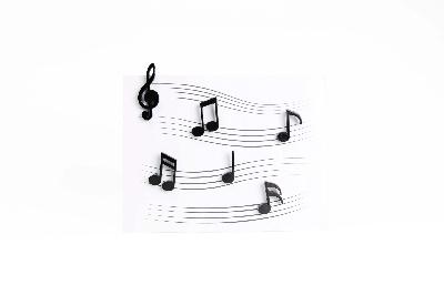 МАГНИТЫ MEMODY MAGNET (6 ШТ. / УПАК.), чёрные