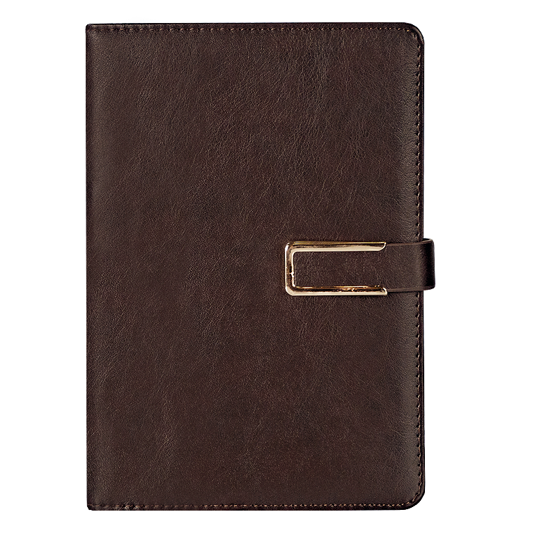 Ежедневник City Bary Mocco A5 в подарочной коробке,  с золотистым, недатированный, в твердой обложке