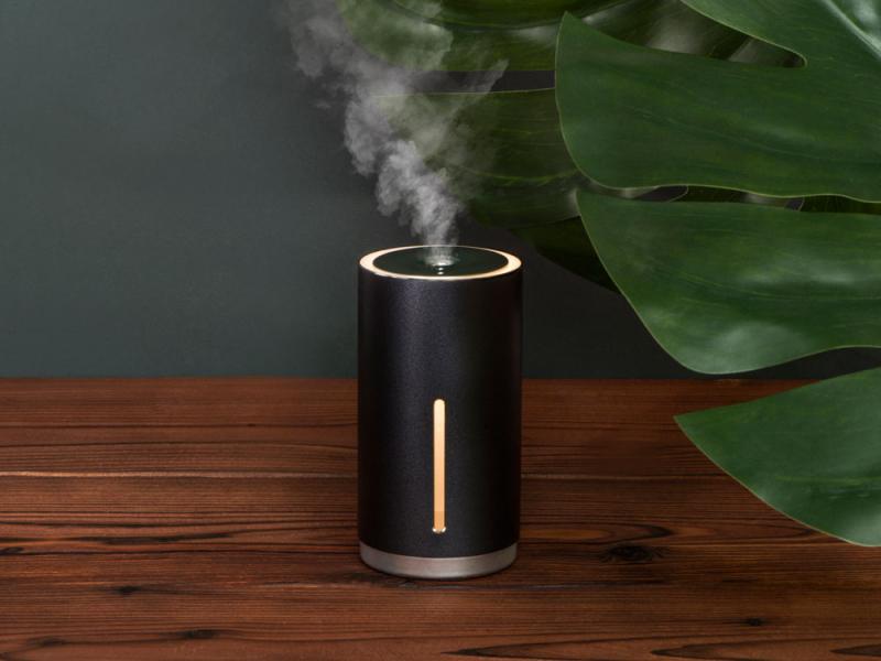 Портативный увлажнитель воздуха с функцией санитайзера Clain