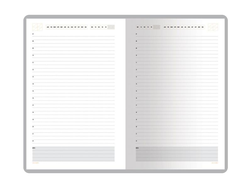 Ежедневник недатированный А5 Mercury