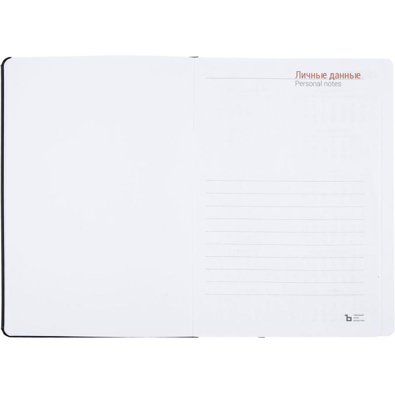 Ежедневник Basis, датированный