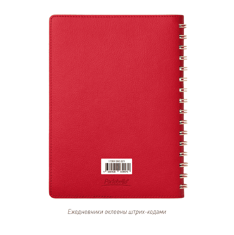 Ежедневник Vista недатированный, 