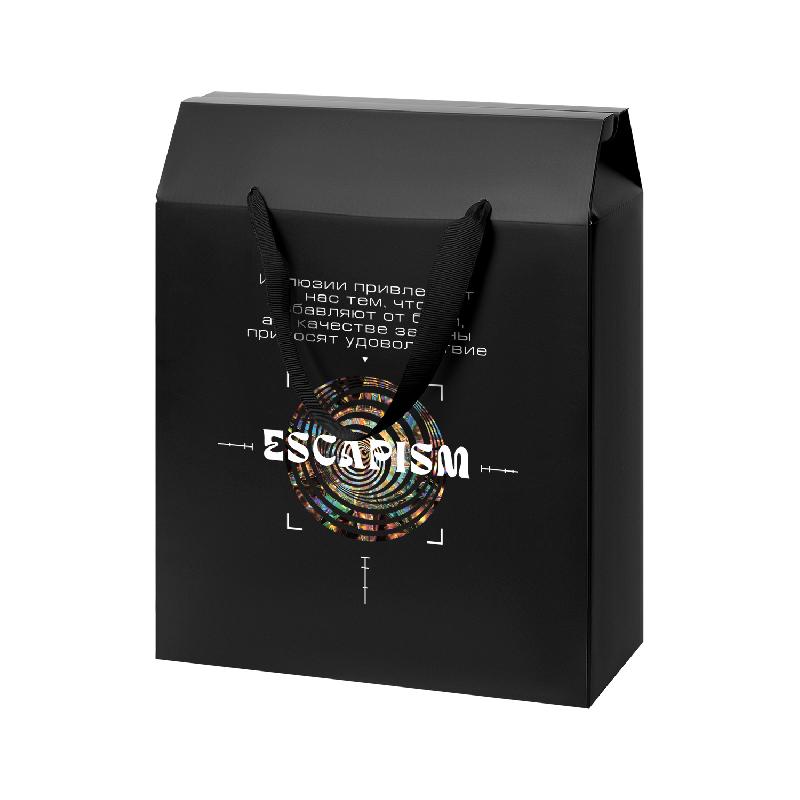 Подарочная коробка-пакет универсальная большая