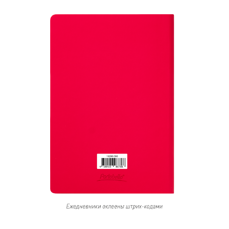 Ежедневник Spark недатированный,  (с упаковкой, со стикерами)