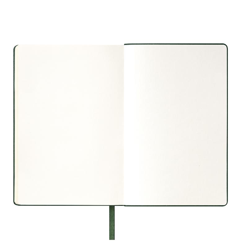 Ежедневник Spark недатированный,  (без упаковки, без стикера)