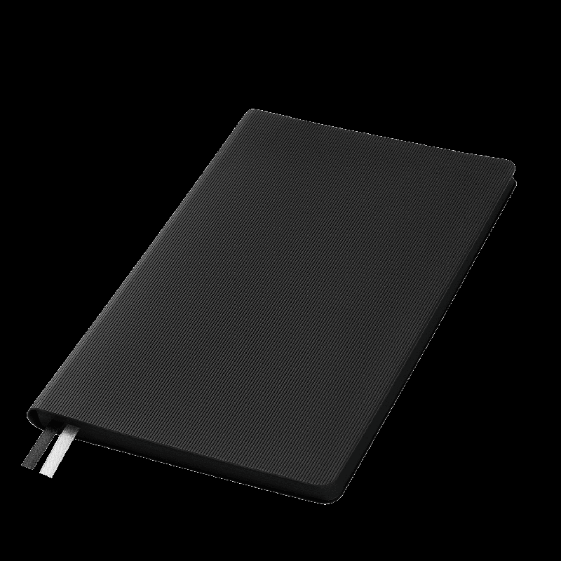 Ежедневник Рейн (Rain) недатированный,  (без упаковки, без стикера)