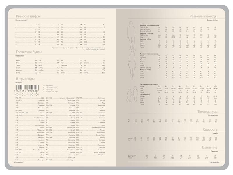 Ежедневник А5 датированный Megapolis Color на 2026 год