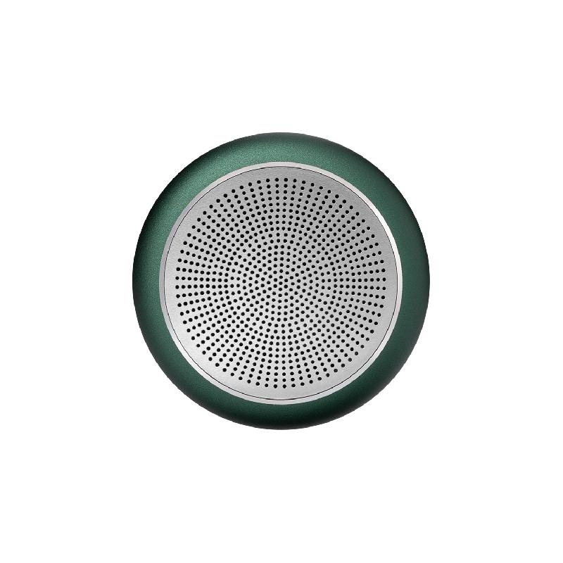 Беспроводная колонка Пассион (Passion) 80dB 600 mAh (Bluetooth 5.0)