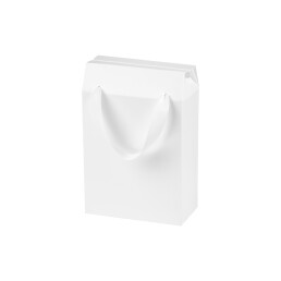 Подарочная коробка-пакет универсальная малая, 186х100х277 мм