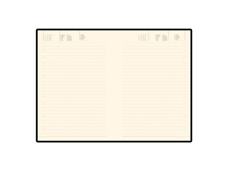 Ежедневник недатированный A5 Trend