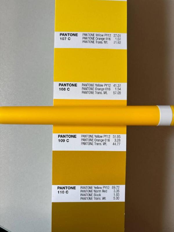 Ручка шариковая пластиковая Ravena Color