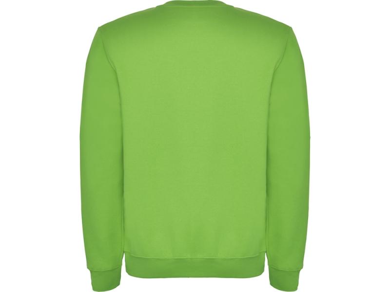 Свитшот с начесом Clasica детский